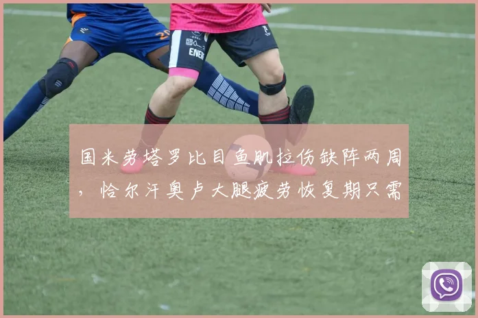 国米劳塔罗比目鱼肌拉伤缺阵两周，恰尔汗奥卢大腿疲劳恢复期只需五天__br_
