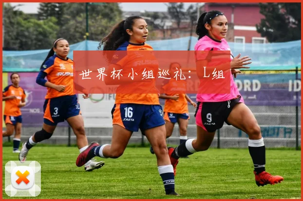 世界杯小组巡礼：L组